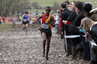 Boys under-15s 2018 British Inter Counties Cross Country Champs., Prestwold Hall, Loughborough. Photo: David T. Hewitson/Sports for All Pics